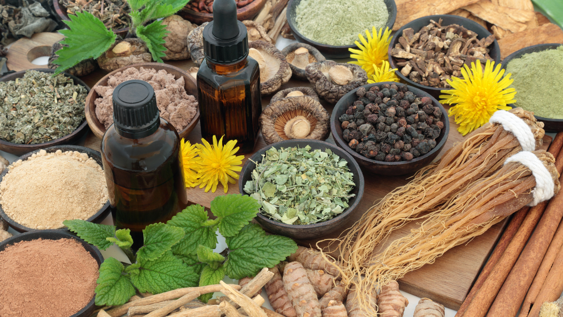 Adaptogens: The Magical Stress-Busters You Didn't Know You Needed