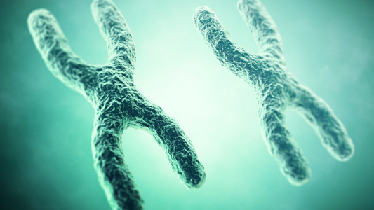 The Tantalizing Tale of Telomeres – The Unsung Heroes of Aging Gracefully